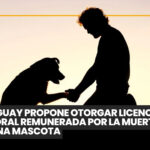 Jennifer Aniston y su amor por los perros rescatados: la historia detrás de Norman, la mascota que cambió su vida