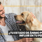 Cómo saber si tus gatos se llevan bien: las señales que identificó la ciencia