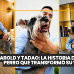Dos perros, una gran escuela de vida: Cómo aprenden al convivir juntos