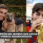 Allogrooming en gatos: vínculo social o señal de tensión
