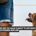 Duranvet dijo presente en ExpoMascota Cochabamba con su nueva propuesta Instinto Animal