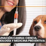 Bienestar de los perros: aprender a ser un buen tutor