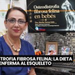 Obesidad y osteoartritis en perros y gatos: manejo nutricional