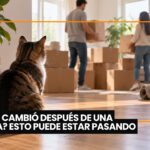 Obesidad y osteoartritis en perros y gatos: manejo nutricional