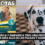 Fabi y Scar: la historia de su familia con siete mascotas