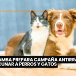 Guabirá y Patas a la Obra llevaron cachorros en adopción a la cancha