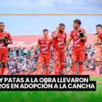 Campaña antirrábica en Cochabamba: vacunarán a perros y gatos