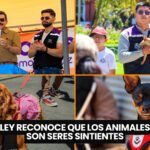 Perros salchicha desfilaron por los Campos Elíseos de París por una causa solidaria