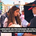 Negrita